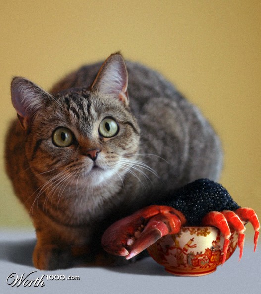 Dinner