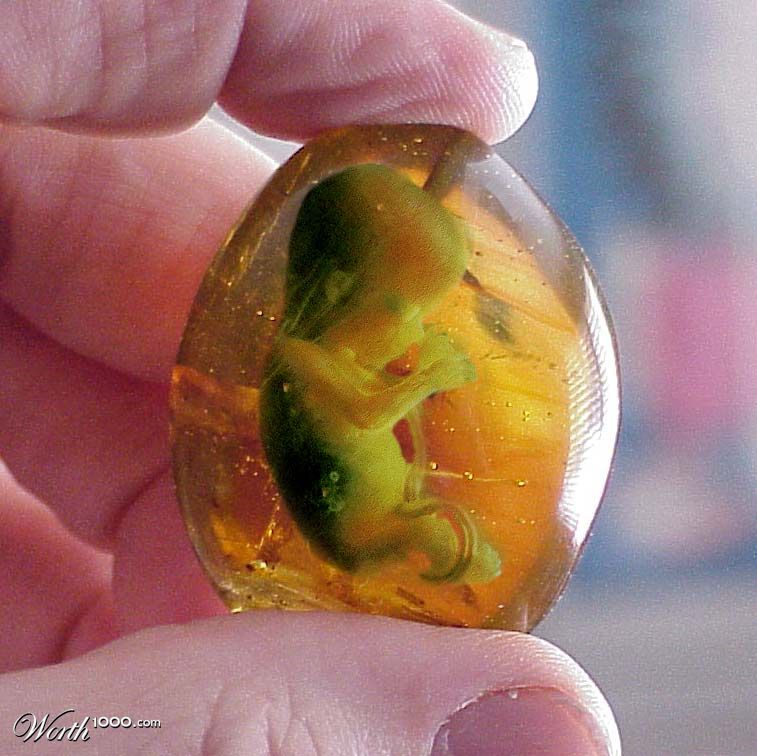 The Egg