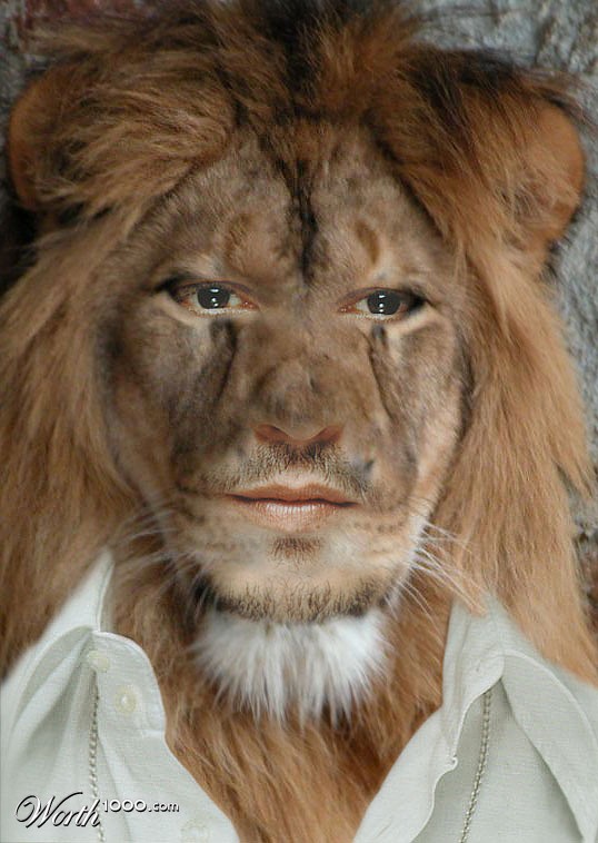Johnny Lion