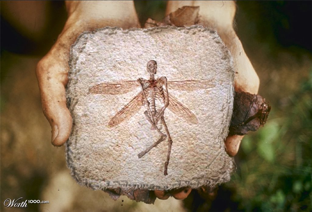 Fossil Fairy