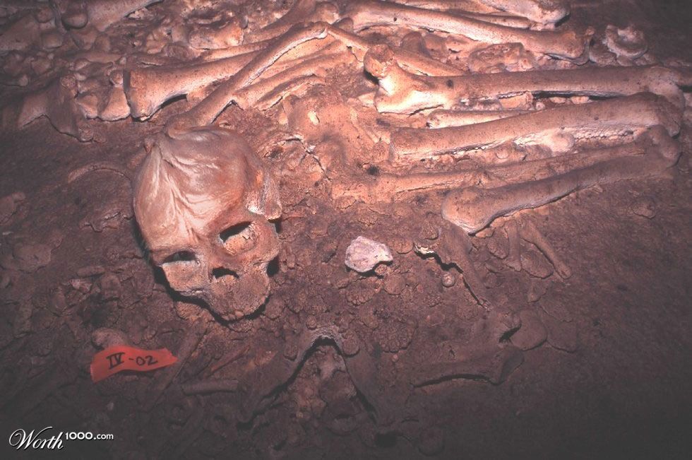 Alien Skeleton