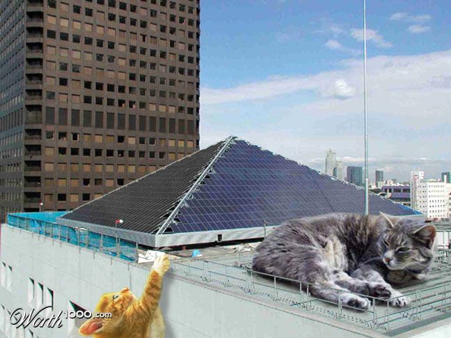 Rooftop perch
