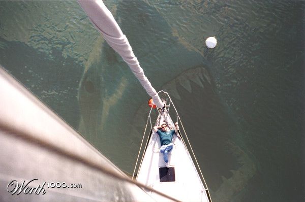 Bored with sailing