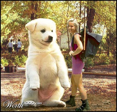 Puppy