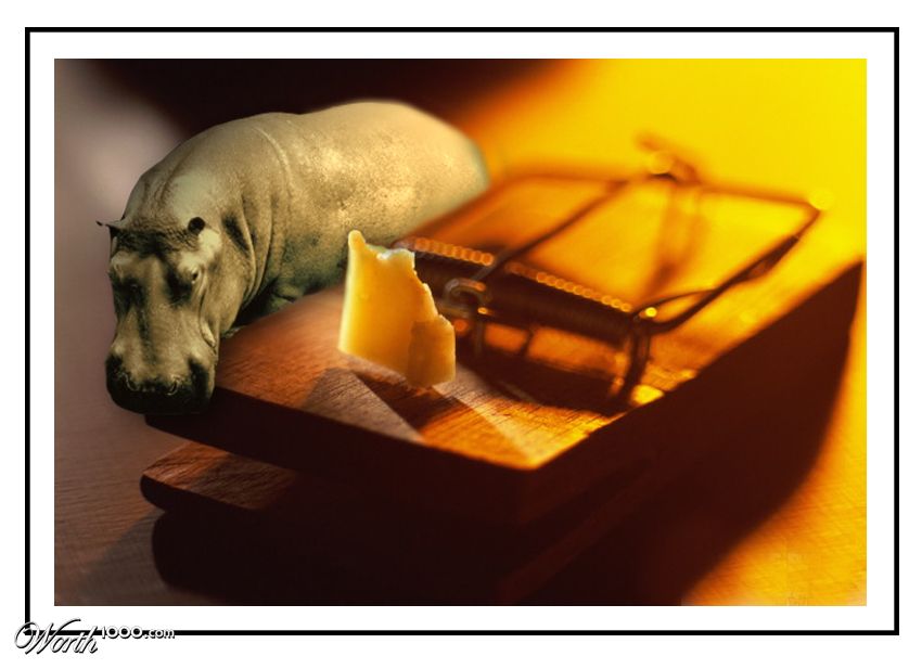 Hungry Hippo