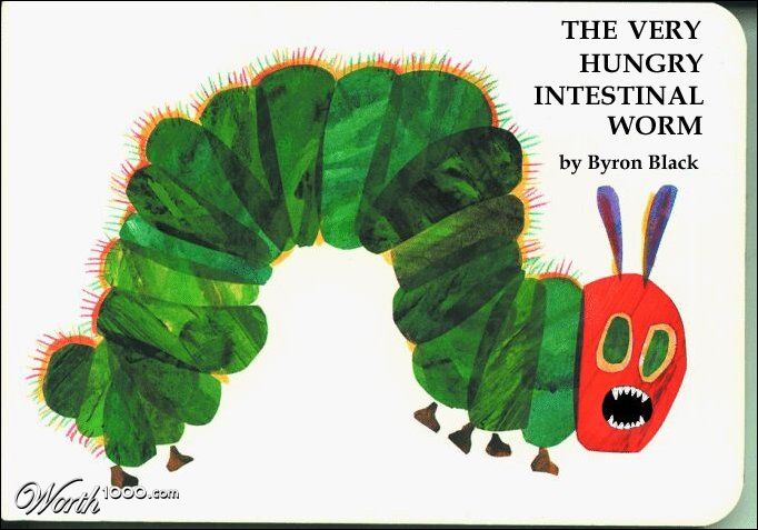 WORM