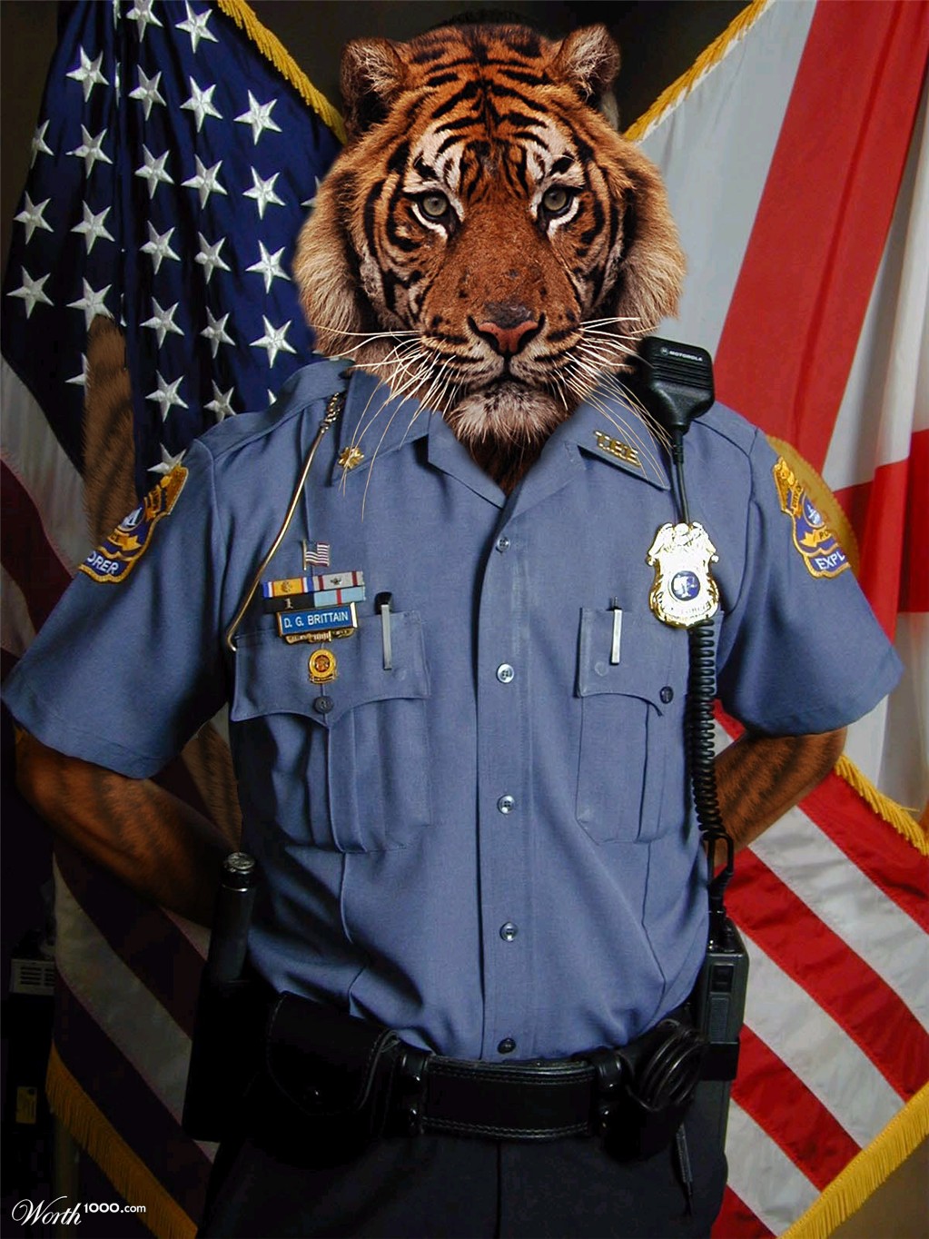 Protect and serve
