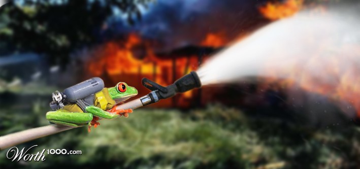 fire frog