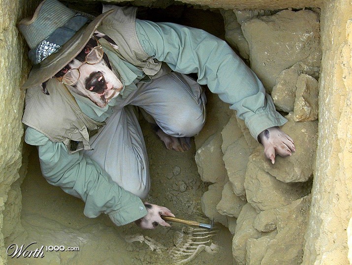 The archeologist