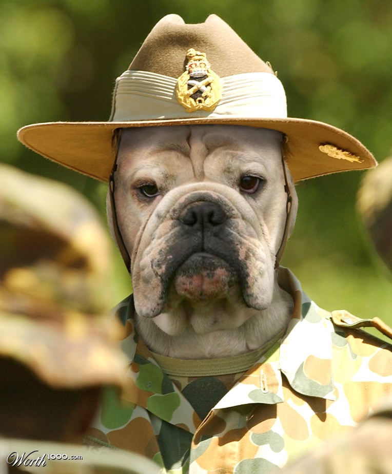 Drool Sargeant