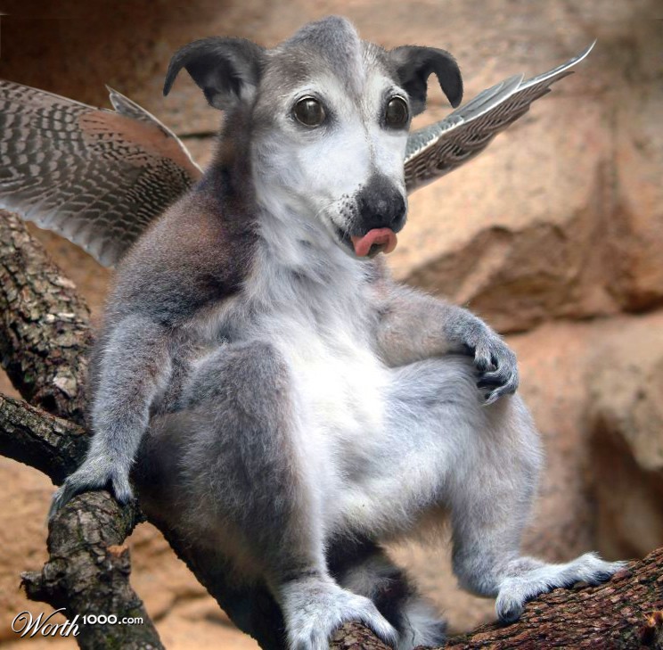 Falconlemur Hound