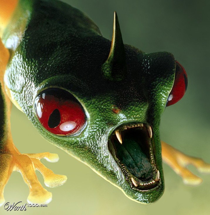 Horned Bear Frog