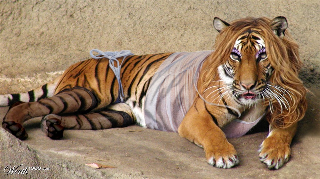 Tigress!
