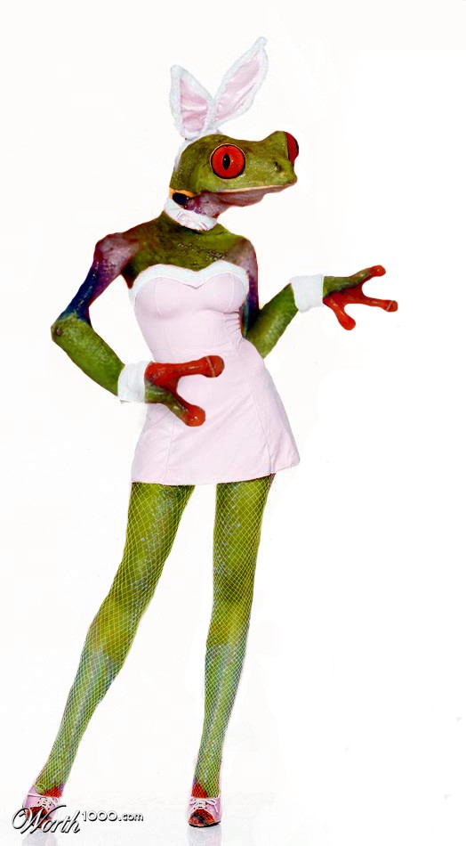 Ms Froggie