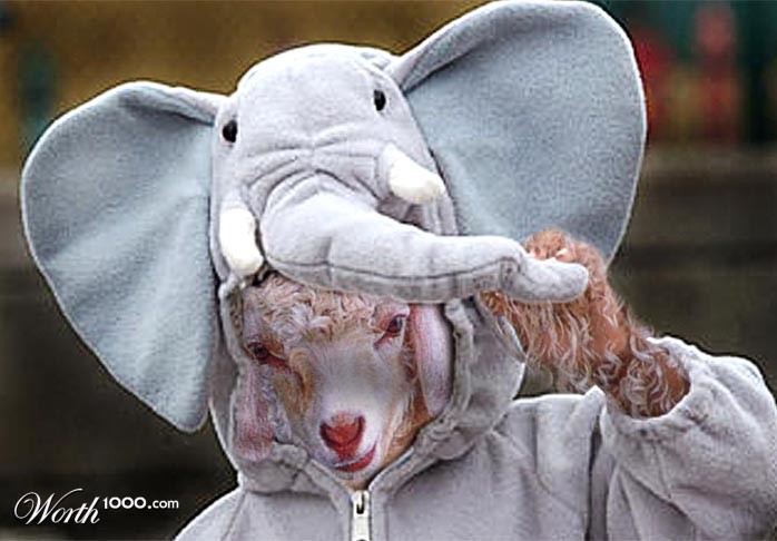 I want to be an elephant