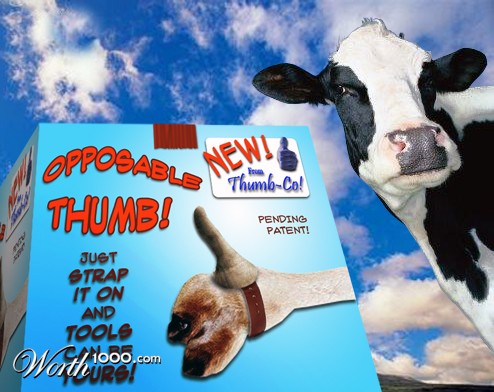 ThumbCo