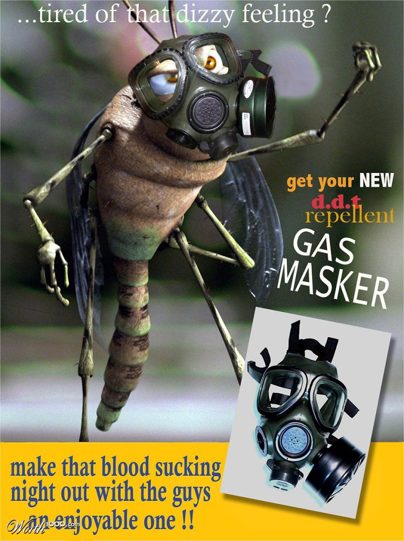 Mosquito