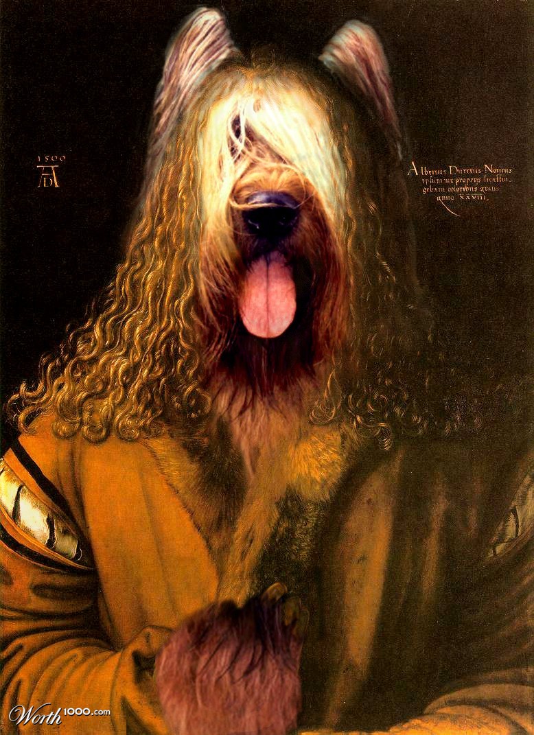 Durer, Berger de Brie
