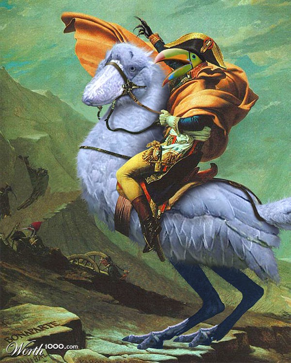 bird emperor