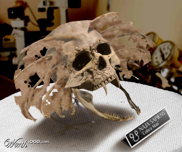 Cobra Man skull