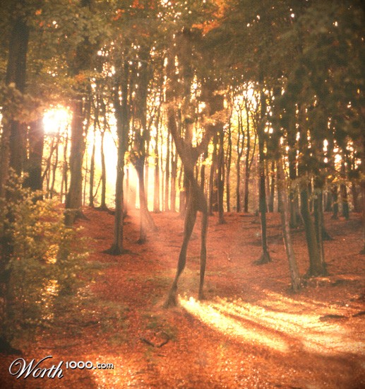 The tree