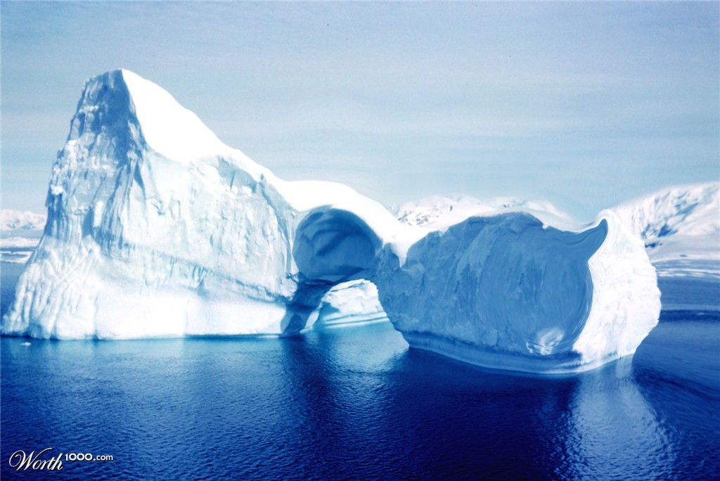 Iceberg Duck
