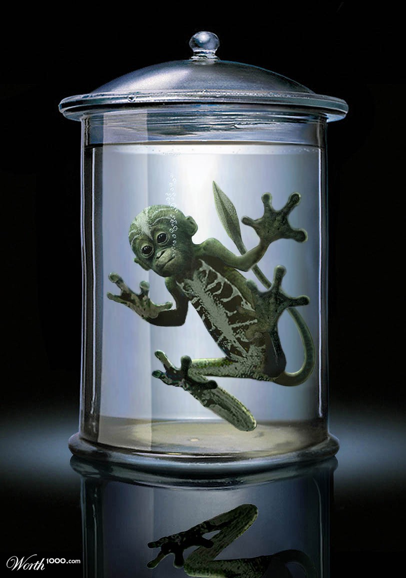Sea Monkey