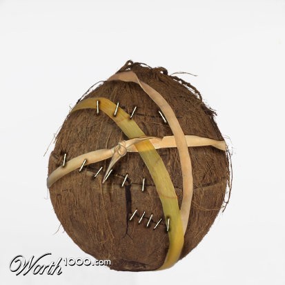 coconut