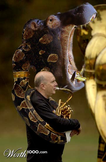 hipythotuba