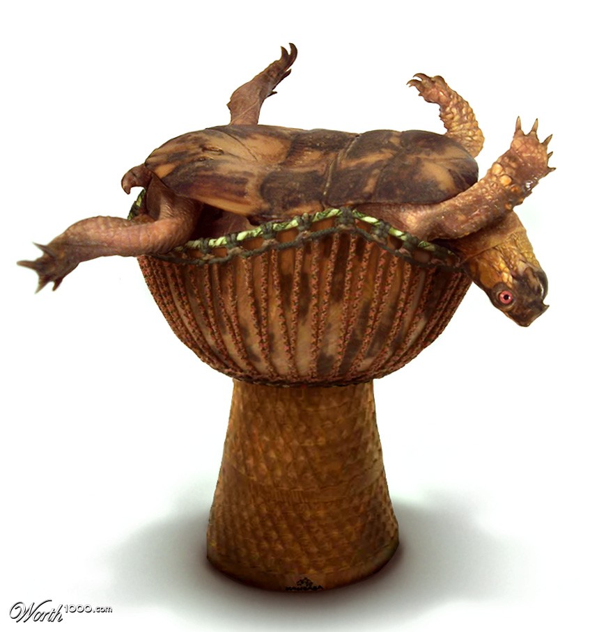 Tortoise Shell Drum
