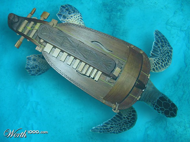 Ukranian Sea Turtlira