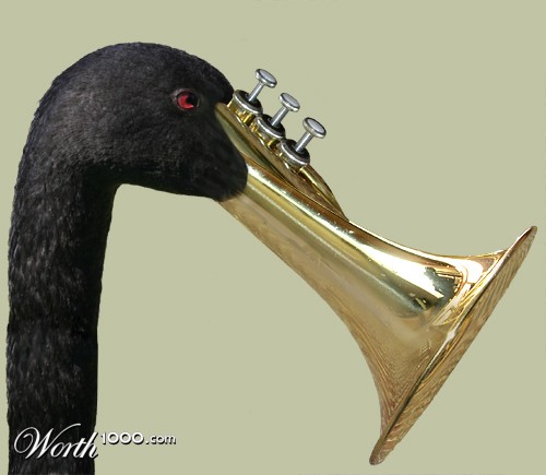 Trumpeter Swan