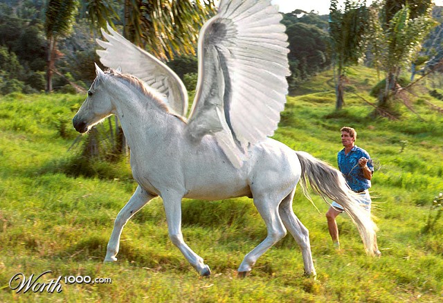 pegasus
