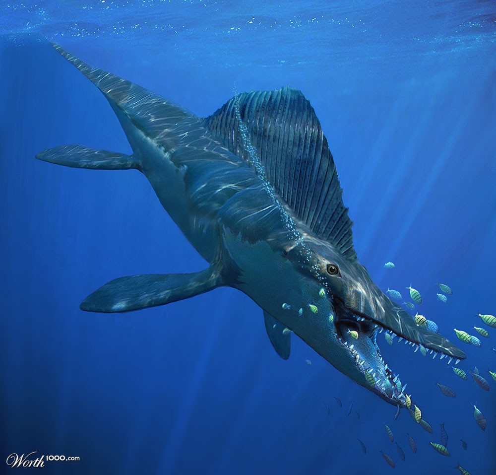 Sea Monster