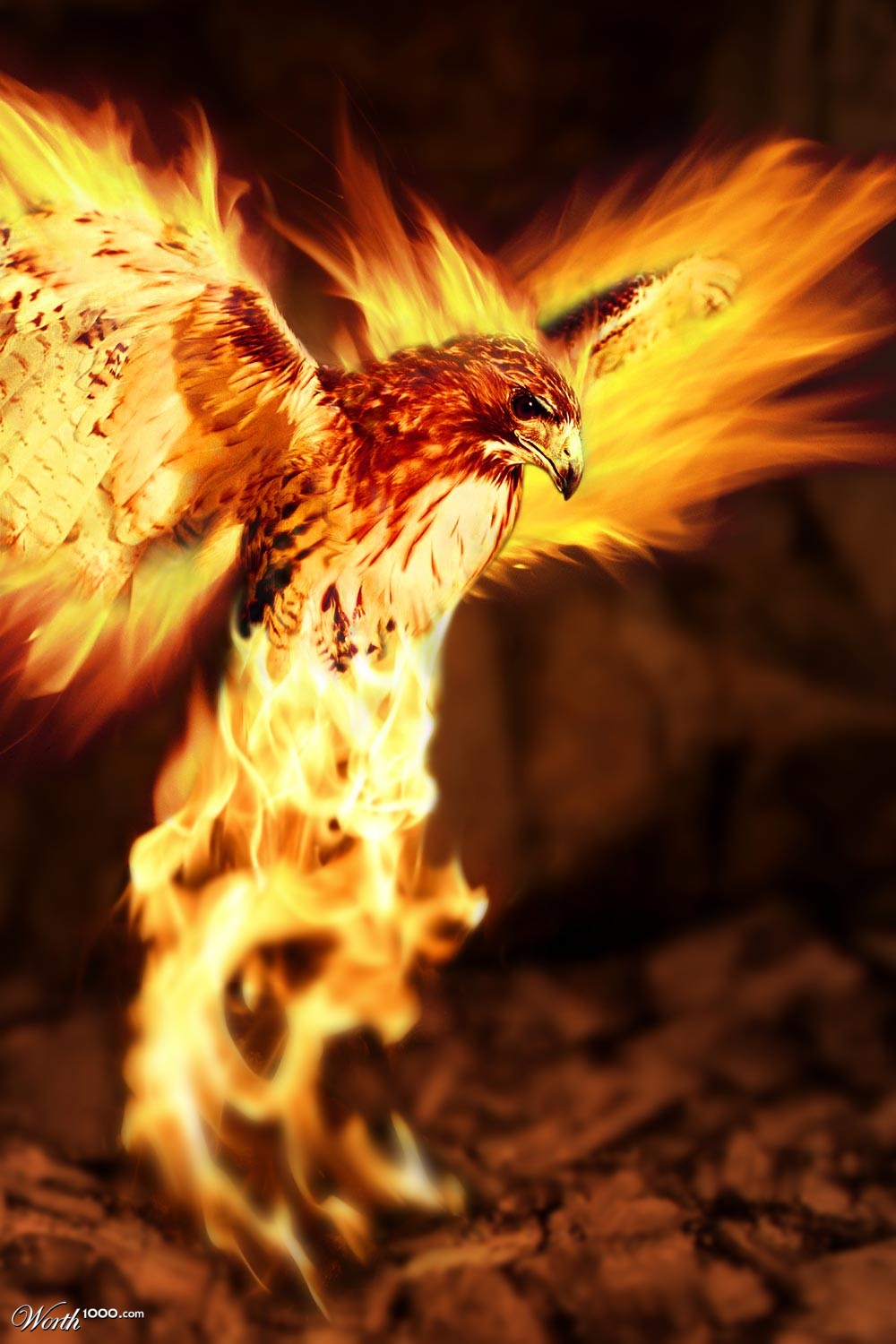 Phoenix