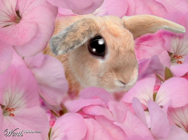 Pretty in pink