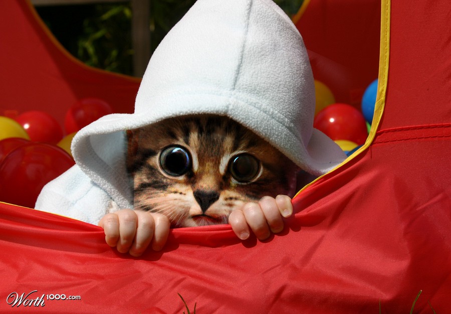 The Cute Freak