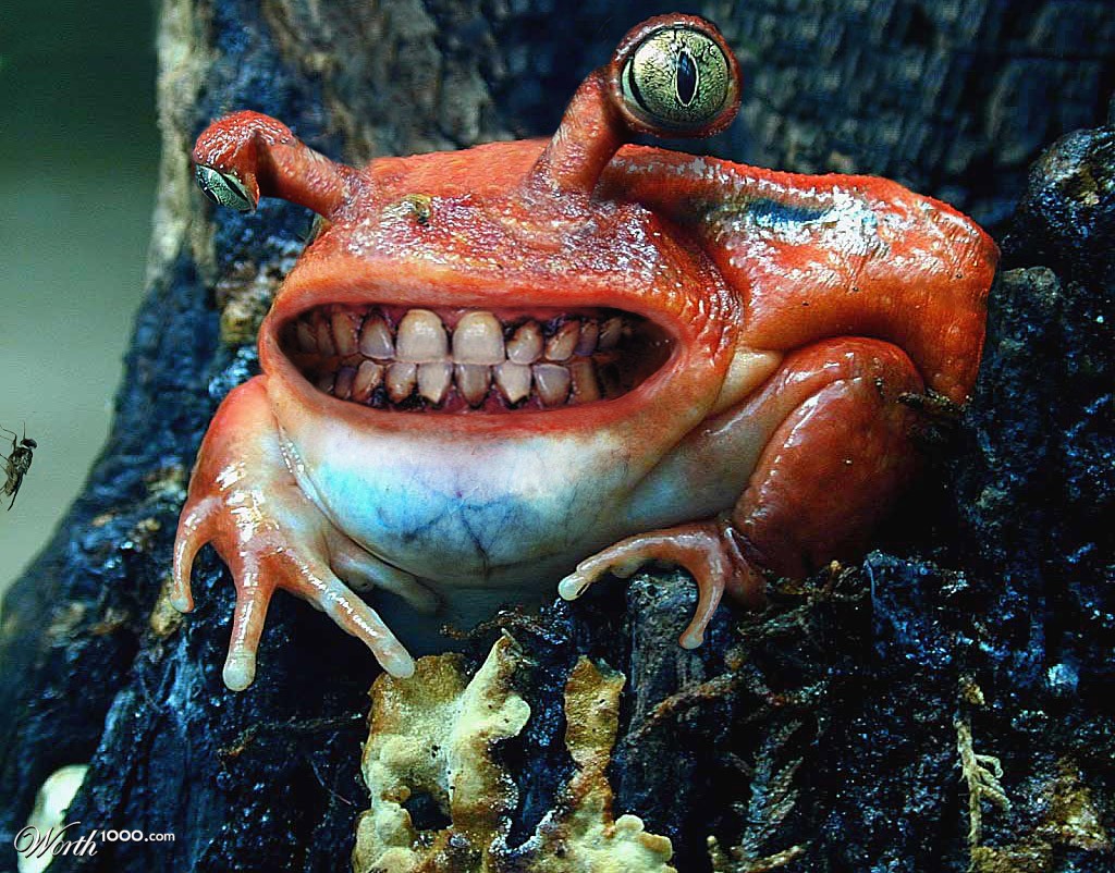 Smile!