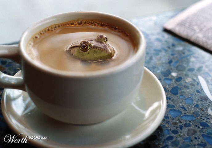 Amphibious Brew