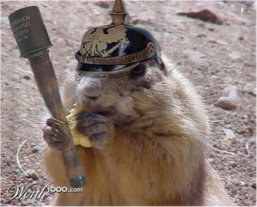 SS Prairie Dog
