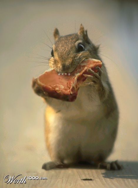 Cannibal