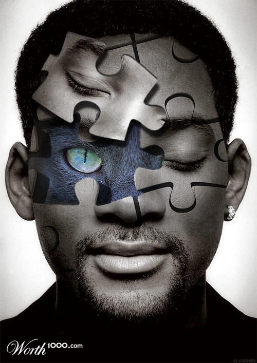 The Puzzling Cat Like Will Smith