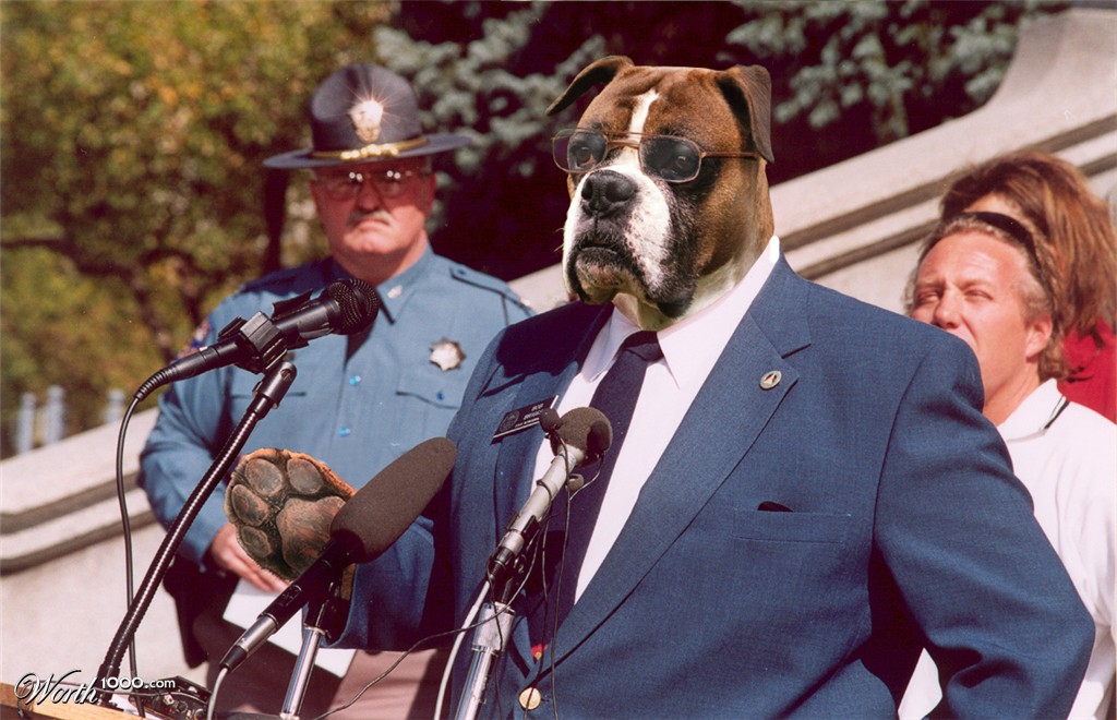 Dog politician