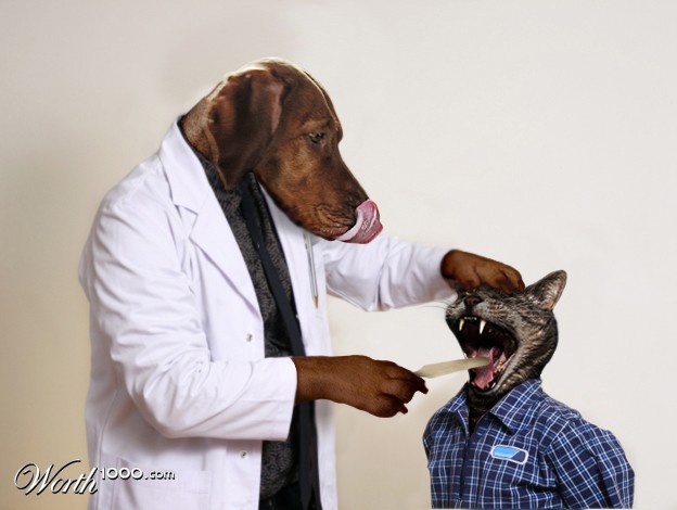 Doctor Dog