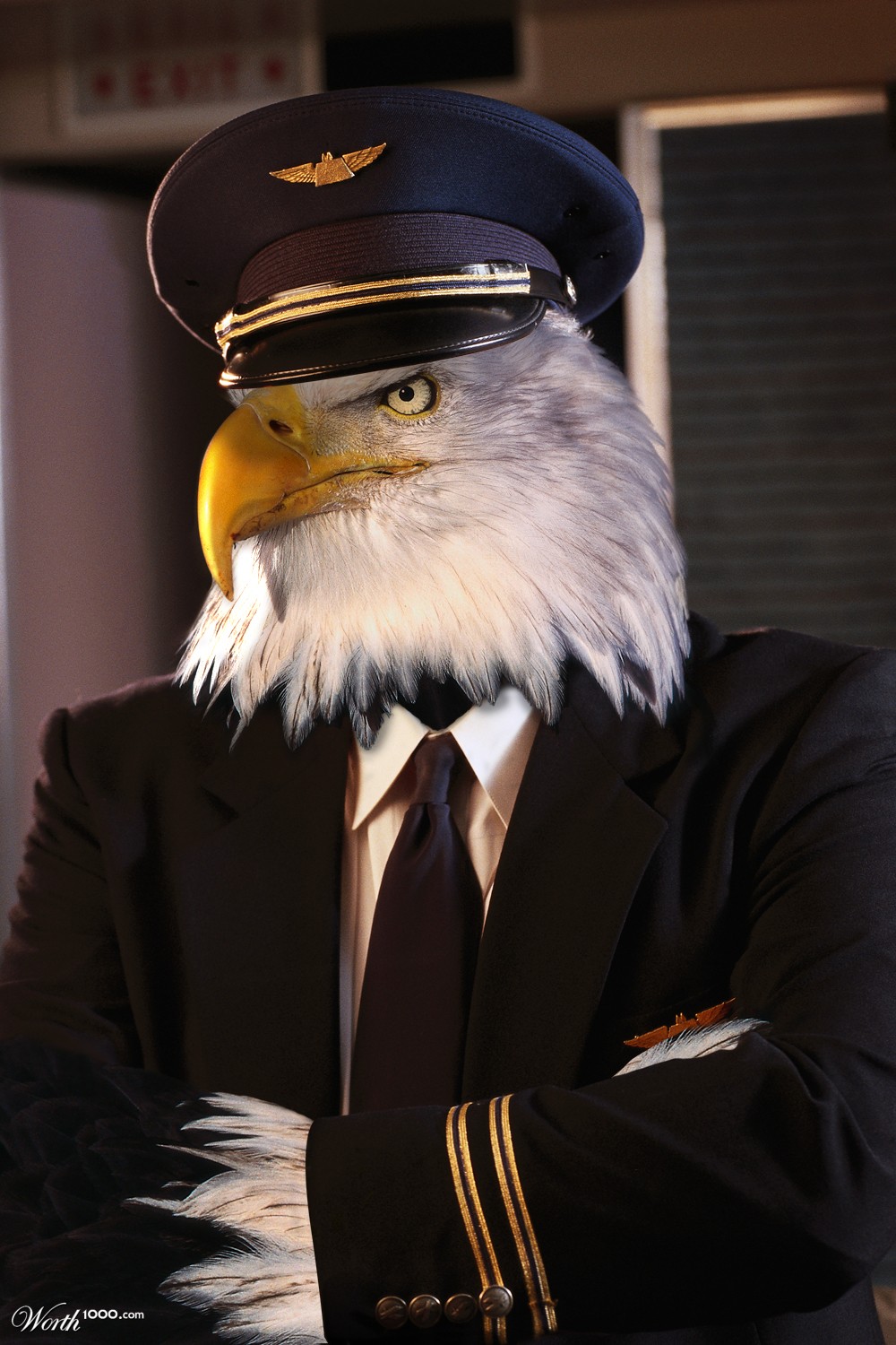 American Pilot
