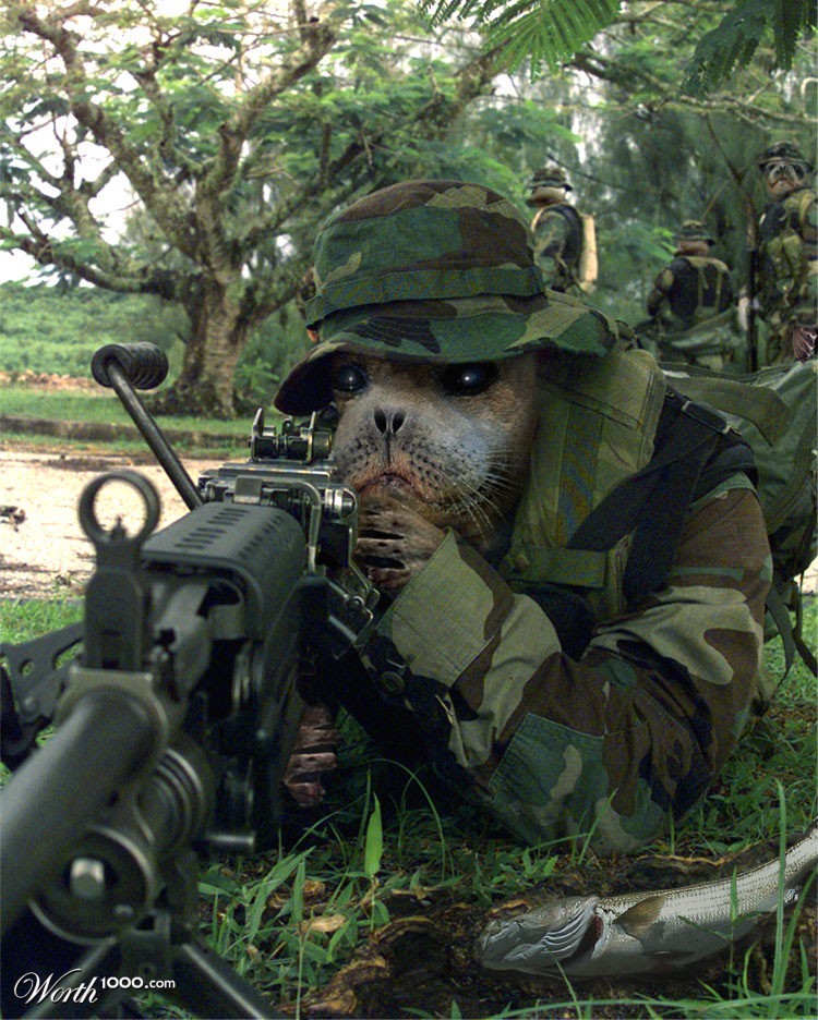 Navy Seal