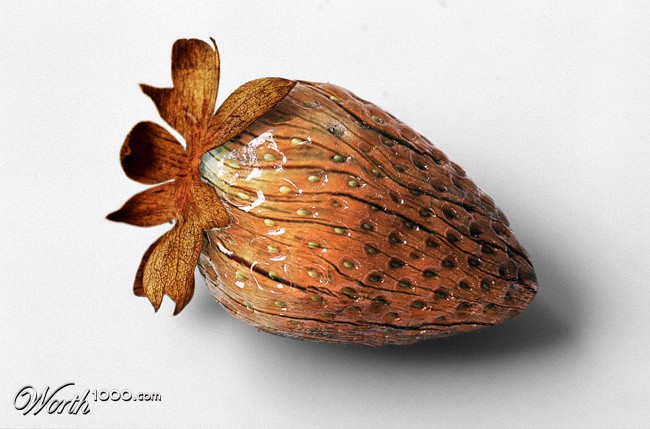 Woodenberry