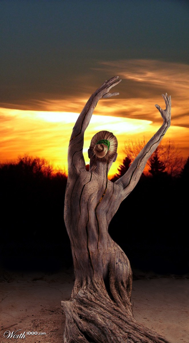 Dryad