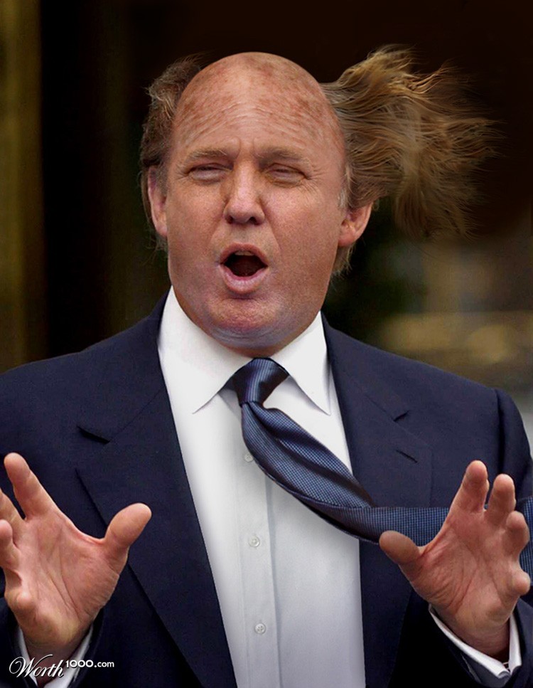 The Donald