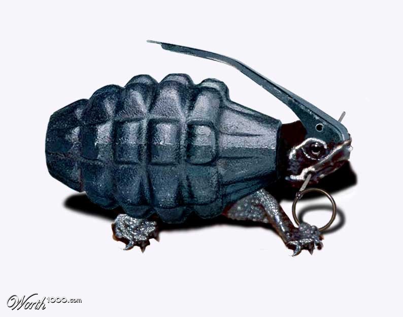 STERNOTHERUS EXPLODORATUS